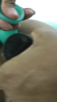 Buitengewone clitoris en anaal ontmaagding met een dildo!