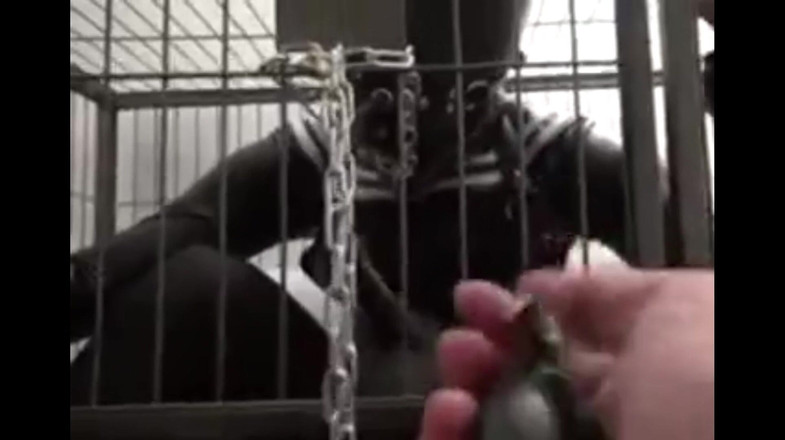 OrangeXXOO: Control de respiración en la jaula de hierro