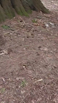 Kencing di dalam ruangan, kencing di luar ruangan