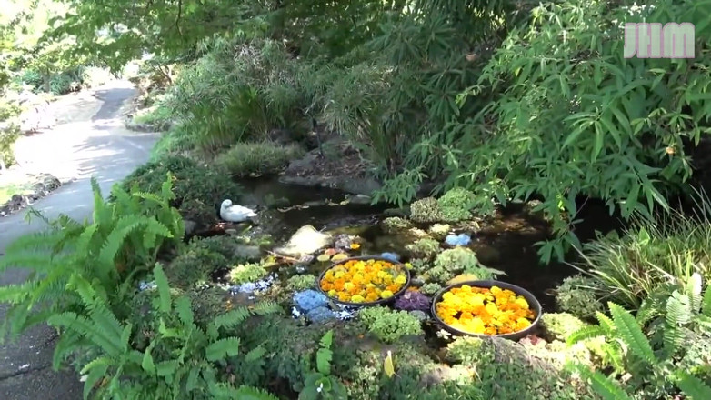 Japanese Hentai Matings: Resort Escape com Rin, uma mulher casada de 32 anos - 1