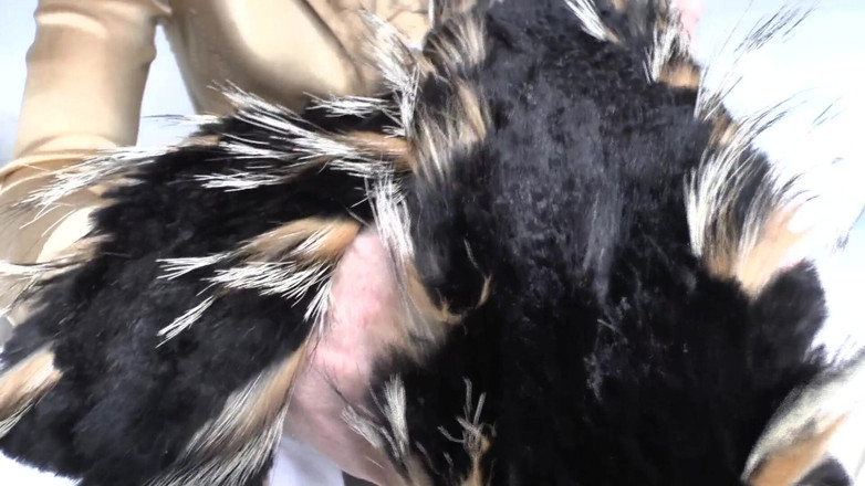 Lady Victoria Valente: Ejaculation Training: Sniffing and Cumming on a Fur Scarf, Lady...