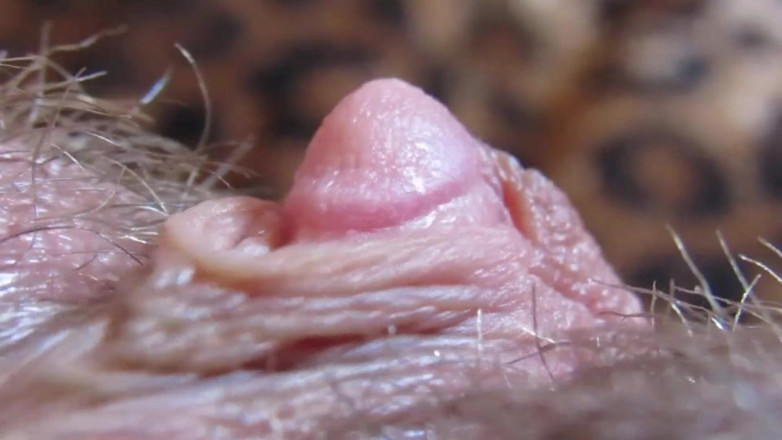 Cuteblonde666: Hard big clitoris in extreme close up