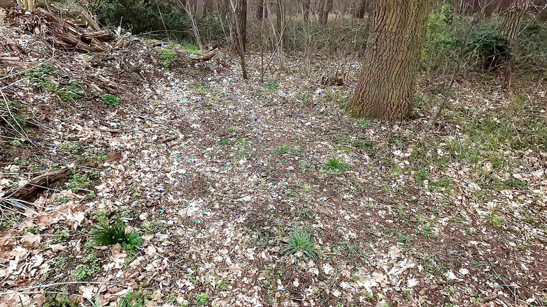 Bouncy Tits Action: In topless aspetta il suo schiaffi sulle tette