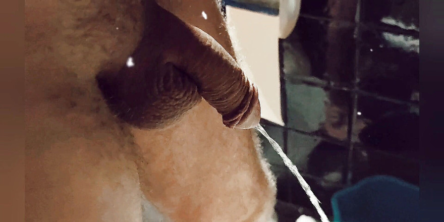 Name Is Nude: Mă piș