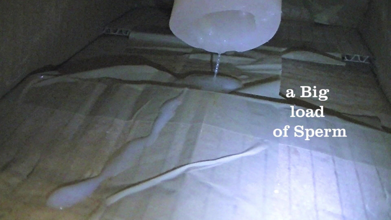 Mark Hannes: Fleshlight fuck masturbace v koupelně