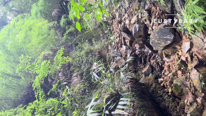 Lustybaby605: Nepali Jungel Porn