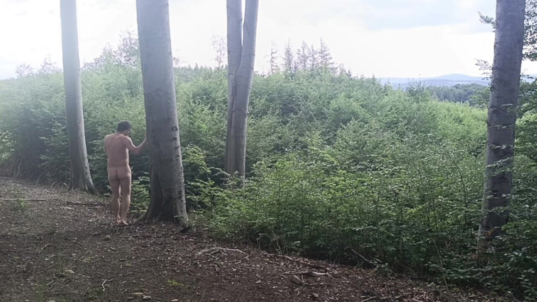 kickerscooter: Between the Beeches: Rough Exhibition on Bare Wood