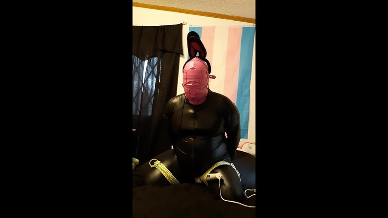 Roxxie rae page: बंधन Bunny