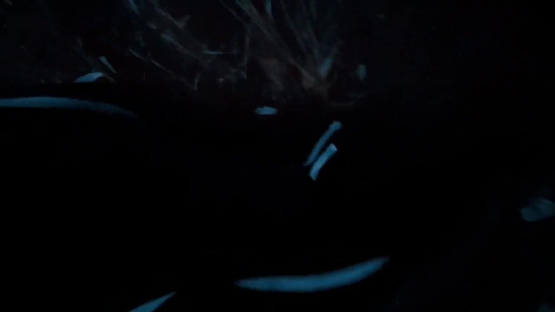 Wanker forever: Masturbação ao ar livre. Ejaculação na Natureza