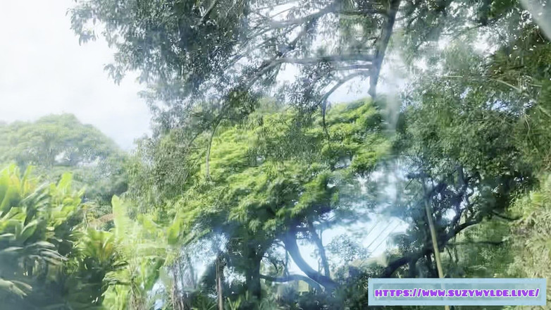 Suzy Wylde: Поїздка Sfw до Хани для Сьюзі Уайлд у водоспаді Веймоку, Мауї