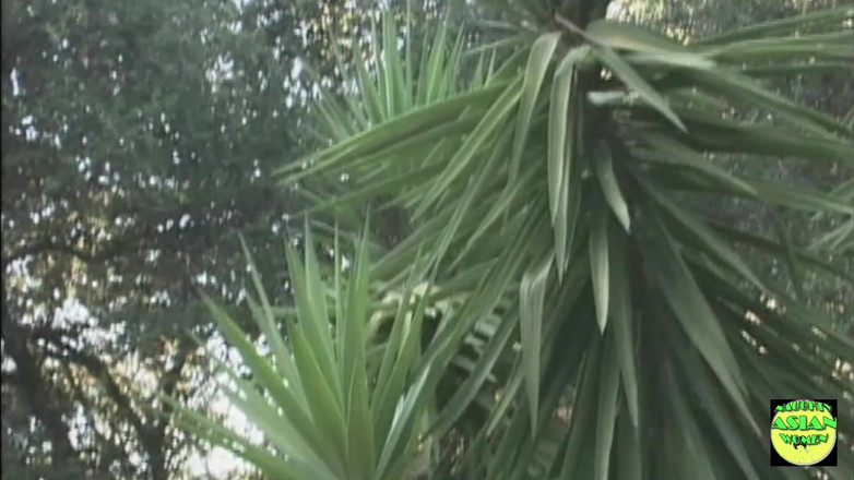 Naughty Asian Women: 異人種間のカップルが屋外のシャワーで彼が彼女のお尻に射精するまでファックします