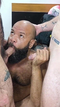 Taking Turns with the Dirty Bear's Ass