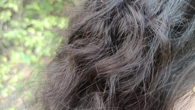 Palani69: Đụ ngoài trời