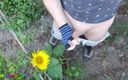 Funny boy Ger: Outdoor Guy Pollinates a Sunflower