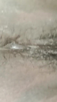 Bhabhi's Pussy and Sweet Water