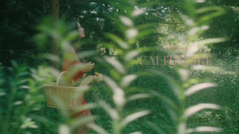HardWerk: Garden Bang No Music