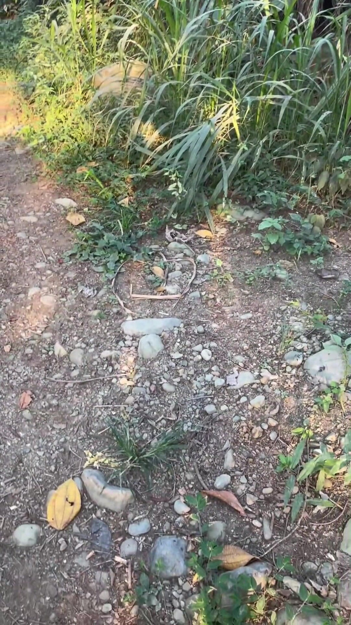 XanderBlackx: Sıcak-kahverengi saçlı kız dışarıda kocaman kalın penisimi büyük bir yoğunlukla...