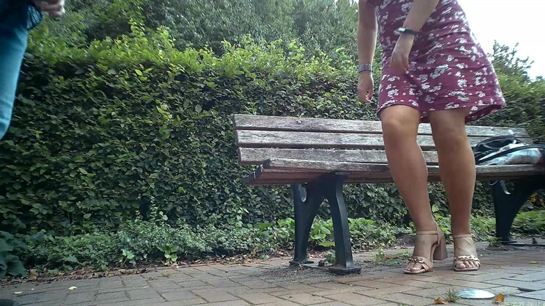 Serge Didier: Invited a Beautiful Fucking in the Park to Take a...