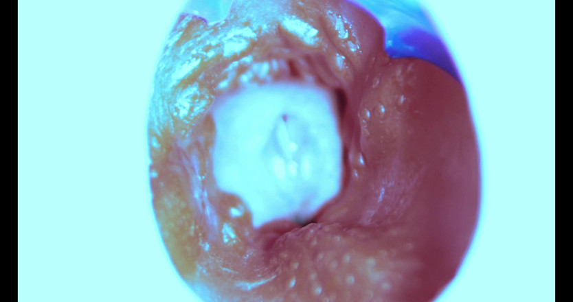 SEXY_GUYBEST: Hur jag knullar från insidan! Kameran inuti!