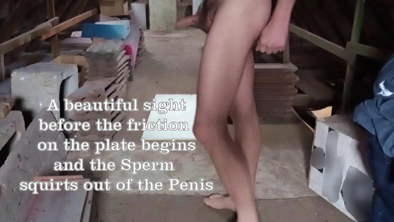 Mark Hannes: Rychlá masturbace starého úložiště