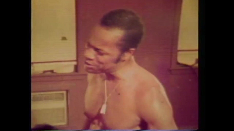 The Unforgettable: Vanessa Vulgair Varken