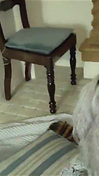 Blowjob selamba dan deepthroat semasa camming semasa bercuti