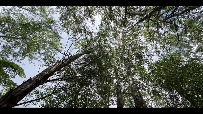 Crypto Mommy: そんなプライベートなアナルを手配してほしいのか?