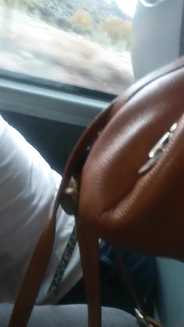 DragonGalaxy11: Risky blowjob on the bus after handjob and tit flash