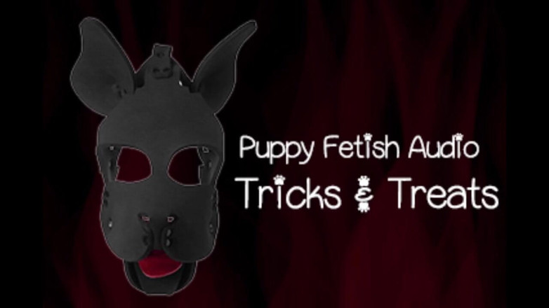 Campsissyboi: De puppyfetisj audioversie