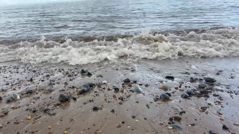 EeveeXo: Barefoot Walking on the Beach Sfw