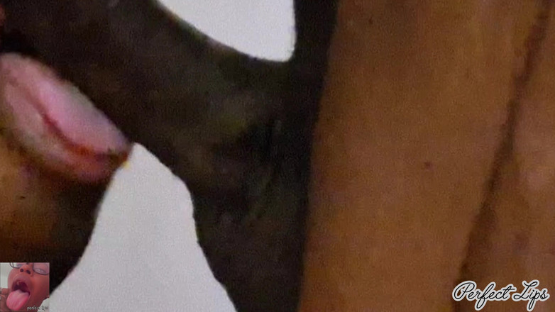 Pperfect lips: Zachte lippen zuigt pik super nat