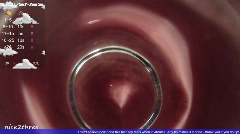 Nice2three2: 뚱뚱한 유리 딜도 내부 보기