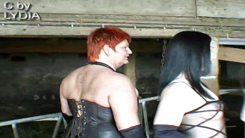 Lydia Privat: 奴隶2