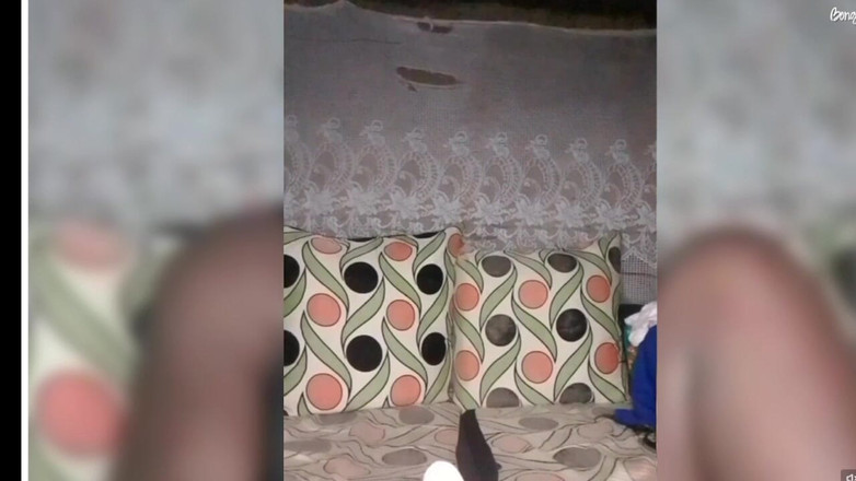 DivineAssGoddess: 完美的黑人女友：风格、魅力和幸福