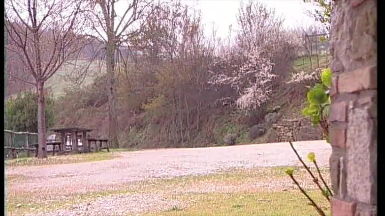 Inhonorof porn: Foda Anal No Bilhar Enquanto O Amigo Assiste E Se...