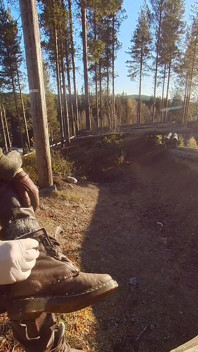 Röker i Forrest