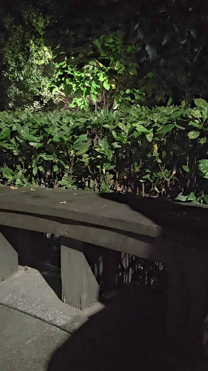 Taiwancdgirl: Sahte kız Tingxuan anal mastürbasyonu vahşi doğada