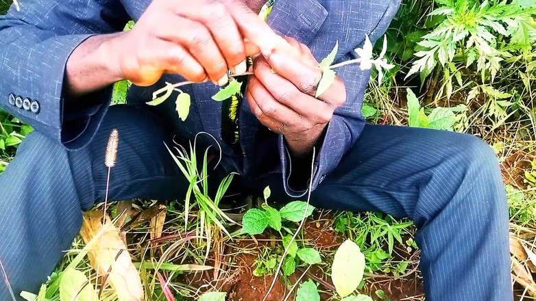 Judith xxx: 새로운 사랑에서