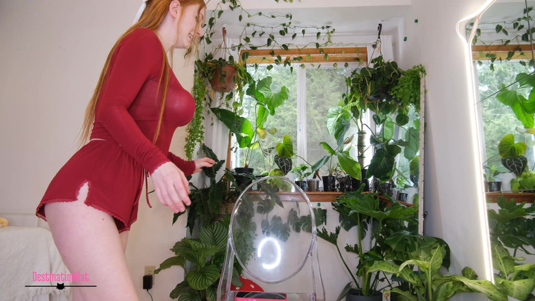 Destination Kat: Större bröst önskar