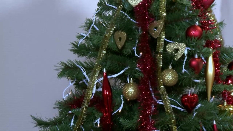 MCG Empire: Horny Christmas Gift #02