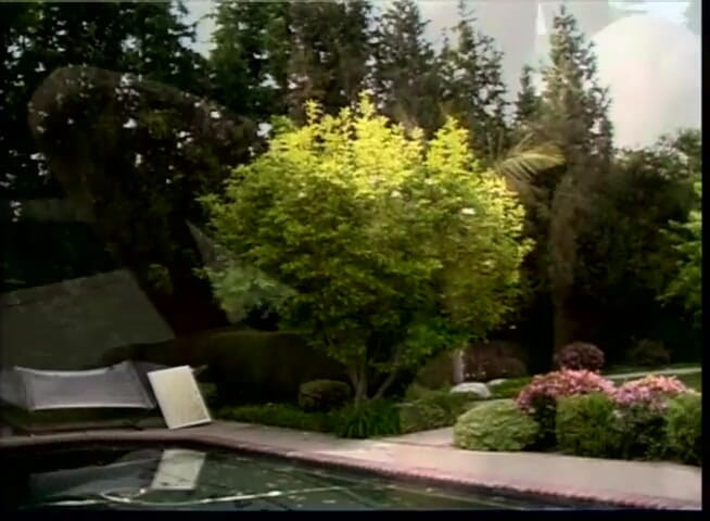VOP Interracial: Big black cock in her ass hole in outdoor action