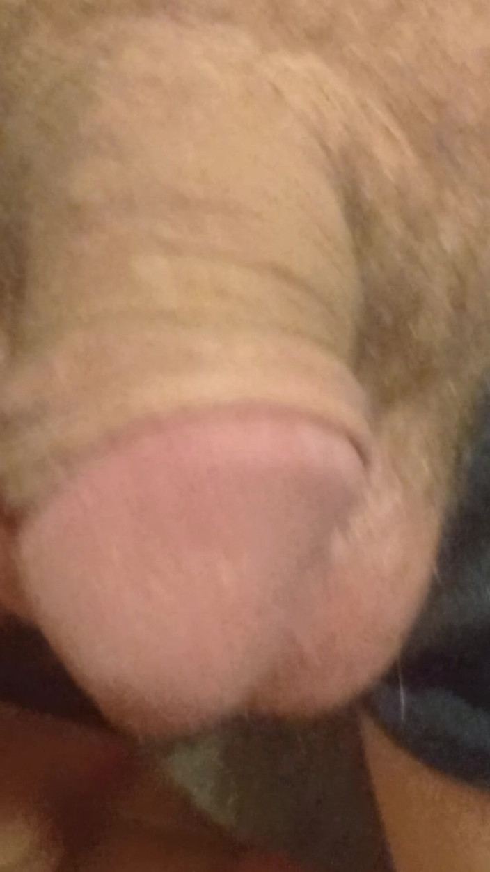 Sam home: Meine schwänze