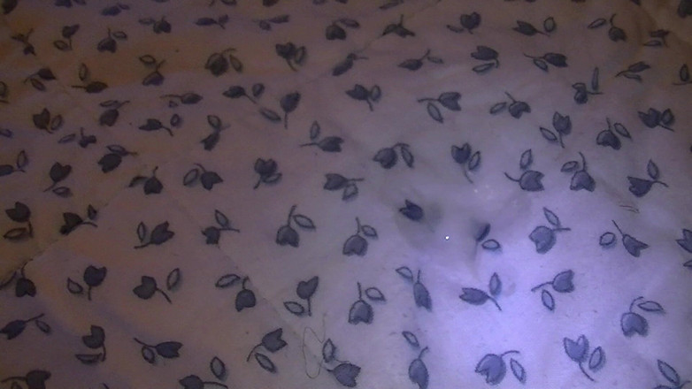 Mark Hannes: Naakte bedbult masturbatie