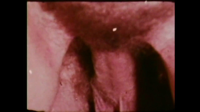 Vintage Usa: Bir Zamanlar Amerika'da XXX - (cilt #03)