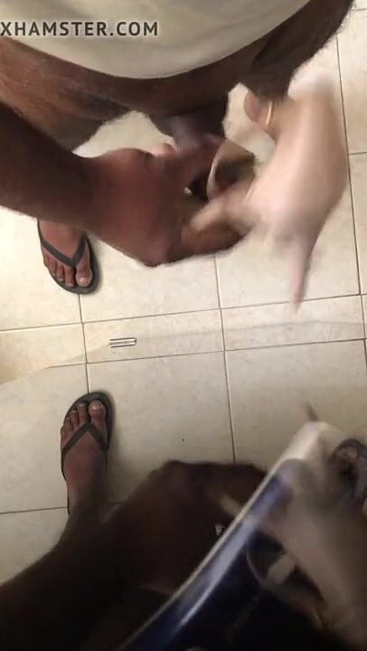 Sexy sereppu: 하이힐 신은 자위