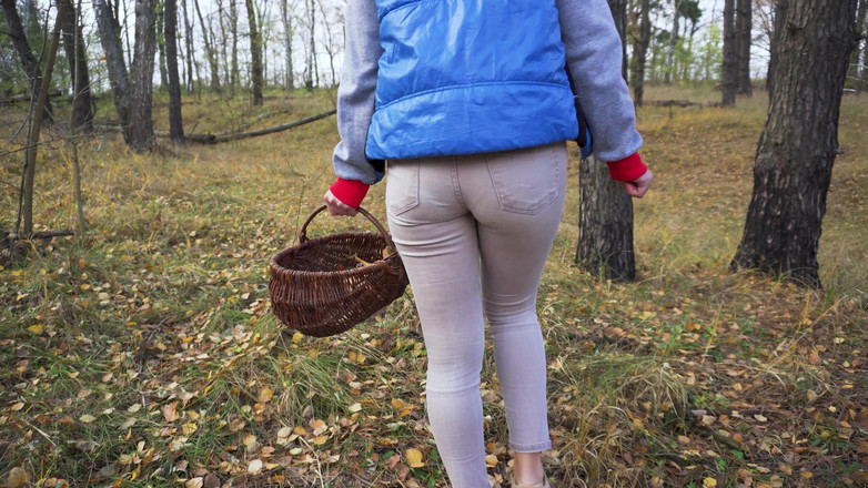 Teasecombo 4K: Milf in strakke broek verzamelt paddestoelen in het bos kontfetisj