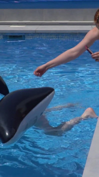 Lesbian Girls Are Having Fun in a Pool with an Inflatable Shark