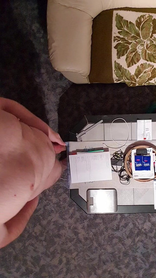 Paddy studio: The top view of the little cock