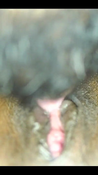 Desi Couple Close up Pussy Licking