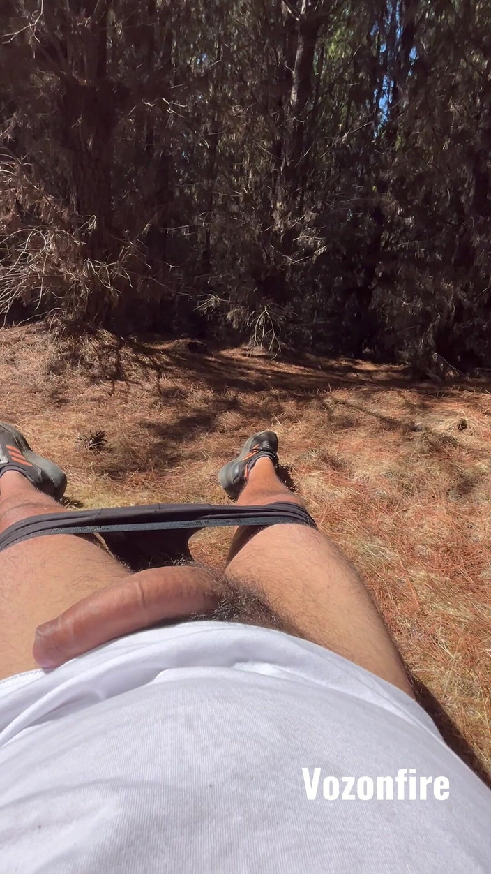 Hardnoisex: Punkt widzenia W tajemniczym lesie sam